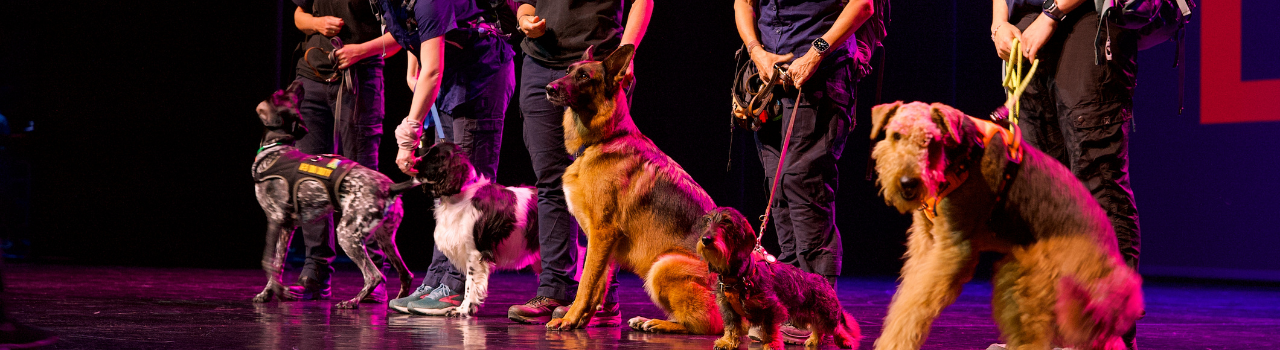 Dancers Love Dogs